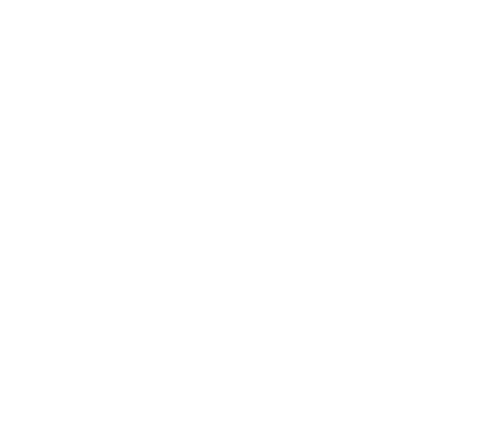 logo dm